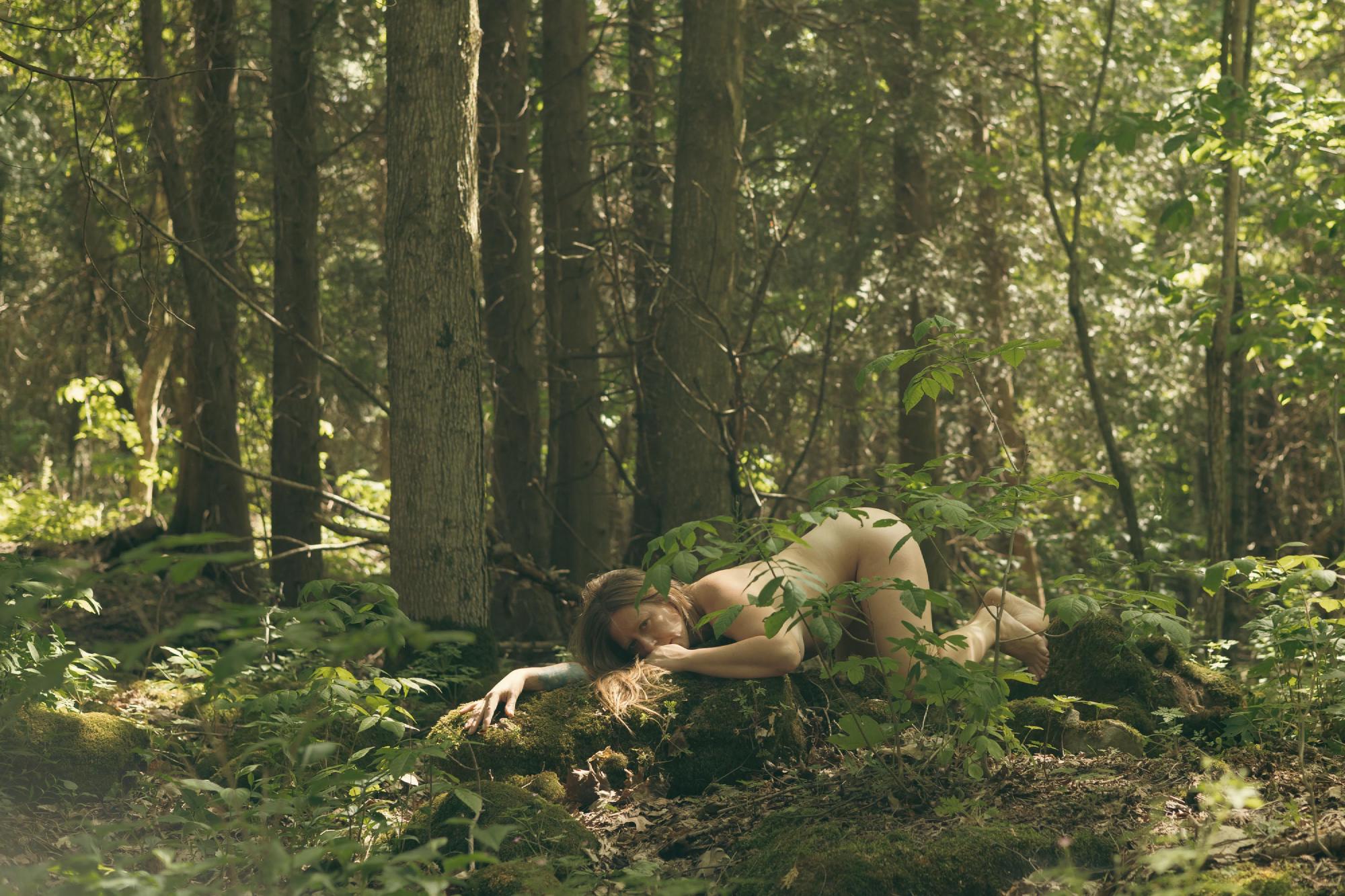Forest of Temptation